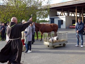 Tiersegnung 7.10.2025