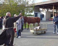 2025-10-07 Tiersegnung